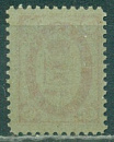 Шацкий Уезд, 1889, Шацк, 5 копеек, № 20, толстая серая бумага-миниатюра
